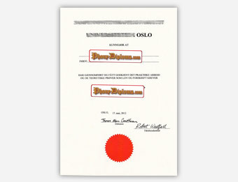 Universitetet I Oslo - Fake Diploma Sample from Sweden